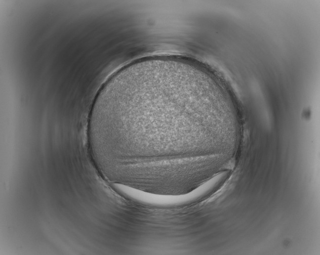 X0000097651409200803211845