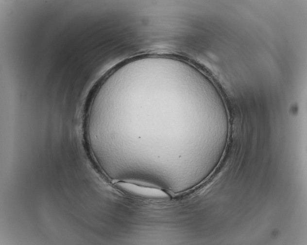 X0000097651410200803211845