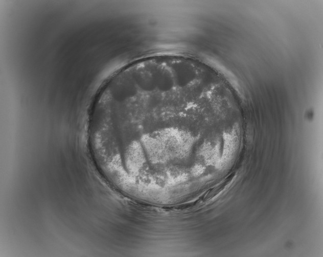 X0000097651411200803211845