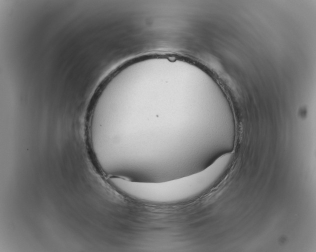 X0000097651412200803211845