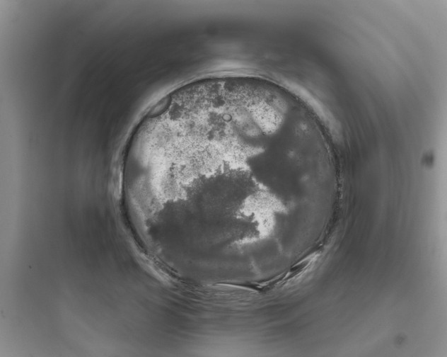 X0000097651413200803211845