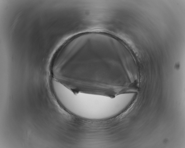 X0000097651414200803211845