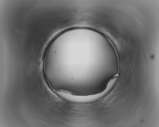 X0000097651416200803211845