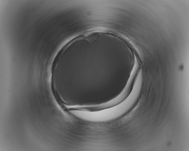 X0000097651418200803211845