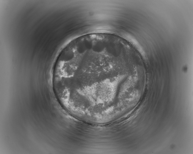 X0000097651419200803211845