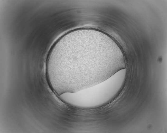 X0000097651420200803211845