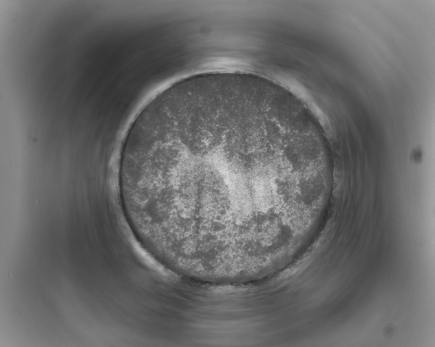 X0000097651421200803211845