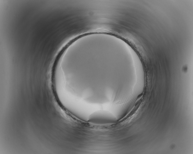 X0000097651422200803211845