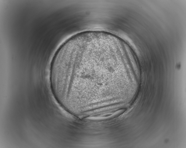 X0000097651424200803211845