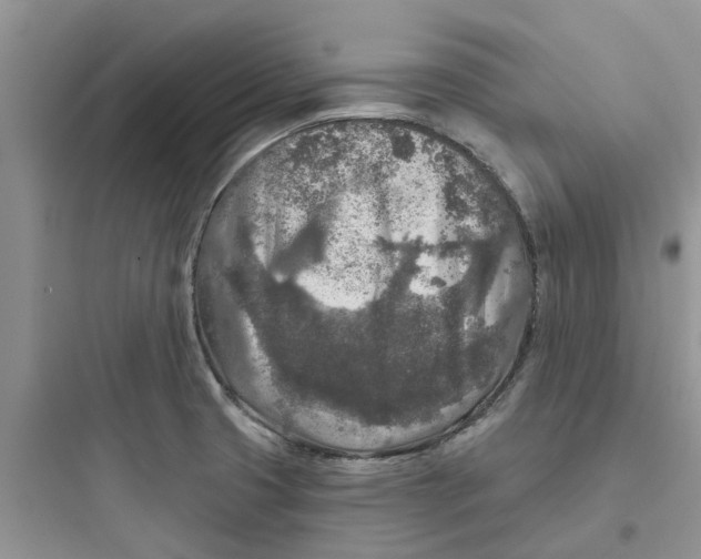 X0000097651425200803211845