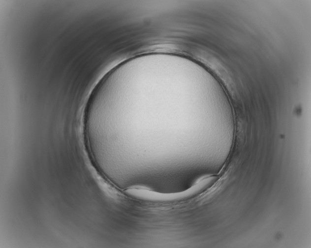 X0000097651426200803211845