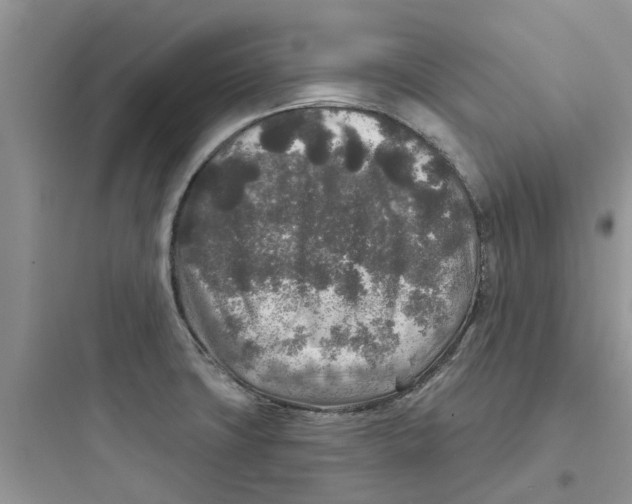 X0000097651427200803211845