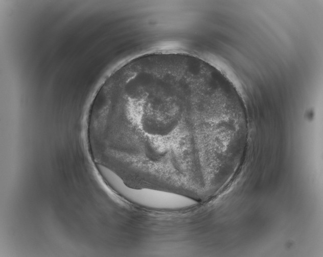 X0000097651429200803211845