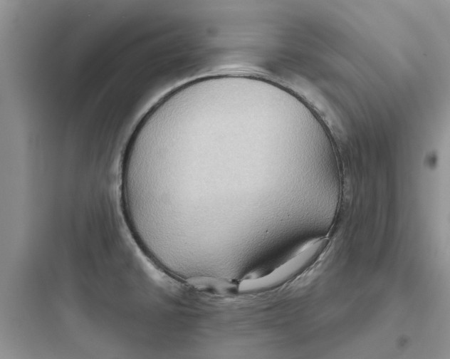 X0000097651430200803211845