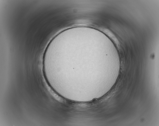 X0000097651431200803211845