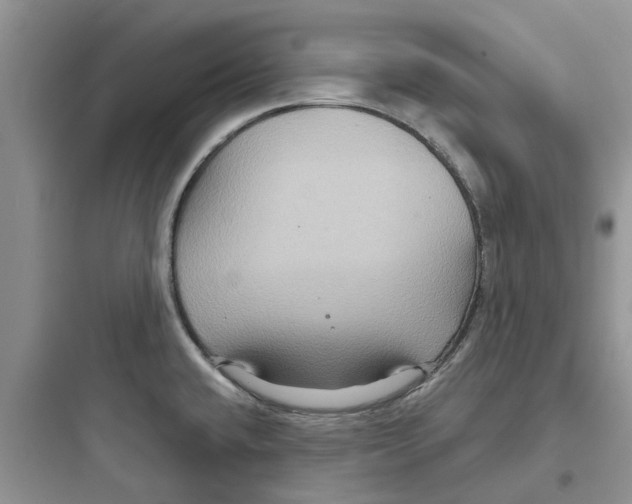 X0000097651432200803211845