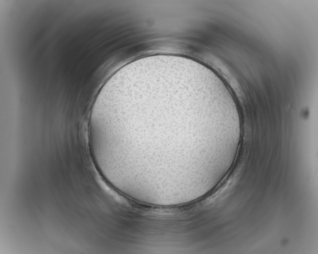 X0000097651433200803211845