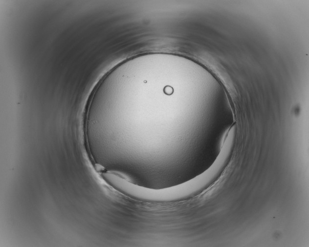 X0000097651434200803211845