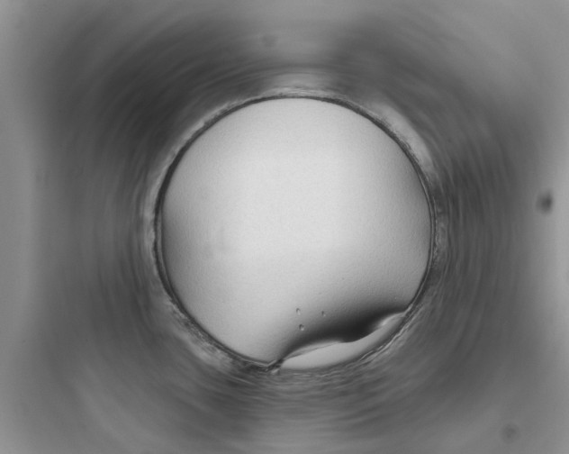 X0000097651435200803211845