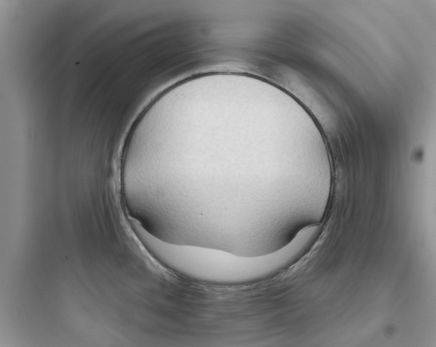 X0000097651436200803211845