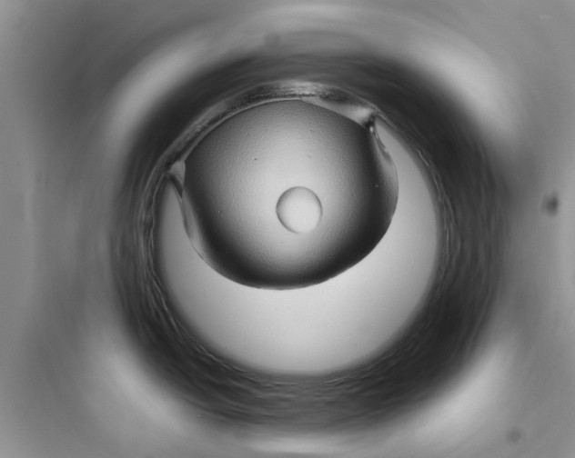 X0000097651438200803211845