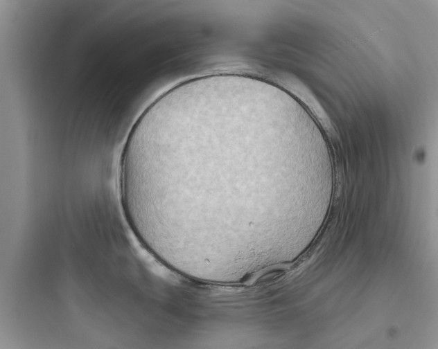 X0000097651439200803211845