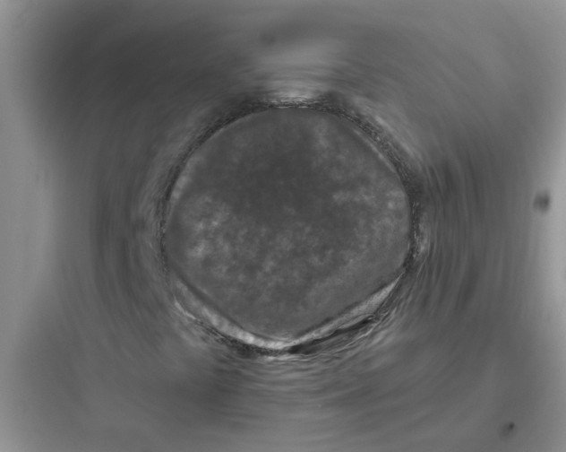 X0000097651441200803211845