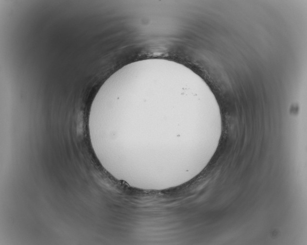 X0000097651442200803211845