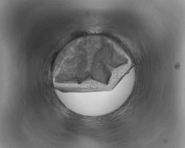 X0000097651444200803211845