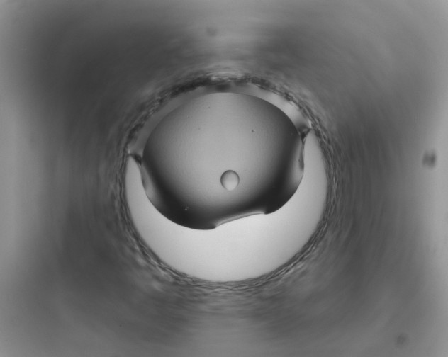 X0000097651445200803211845