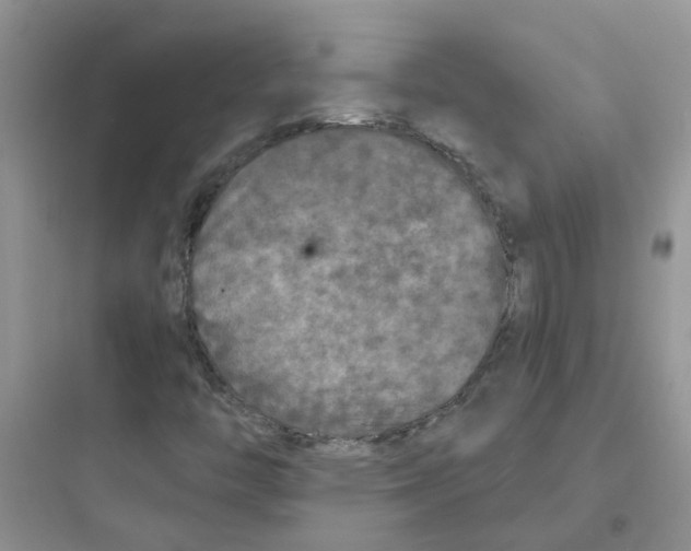 X0000097651446200803211845