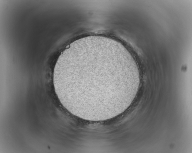 X0000097651447200803211845