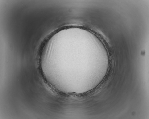 X0000097651448200803211845