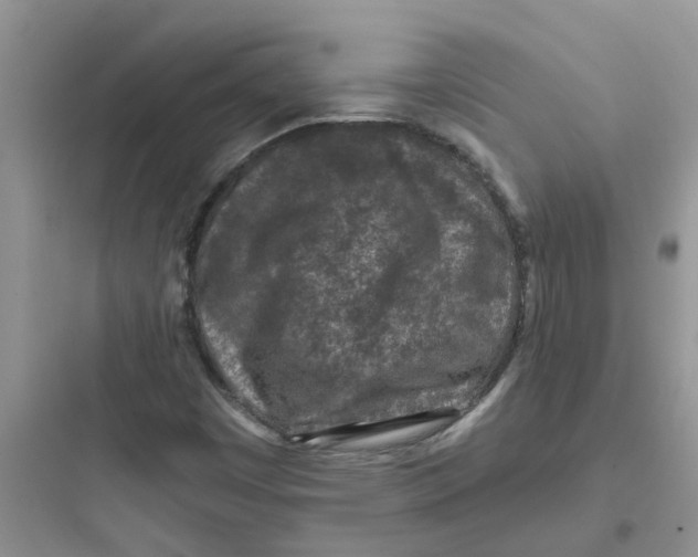 X0000097651449200803211845