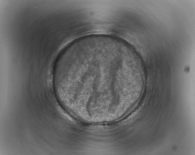 X0000097651450200803211845