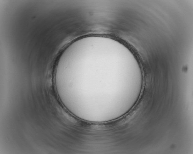 X0000097651451200803211845