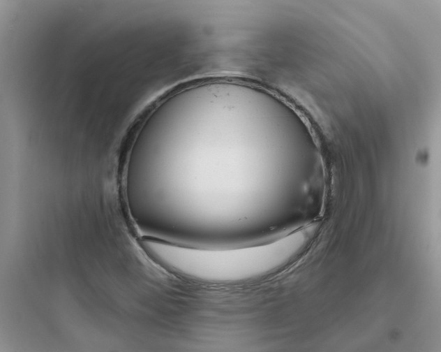 X0000097651452200803211845