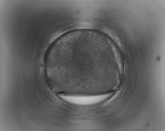 X0000097651453200803211844