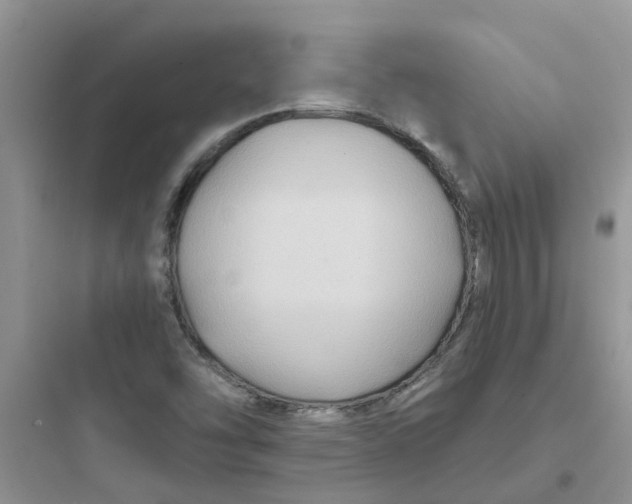 X0000097651454200803211844