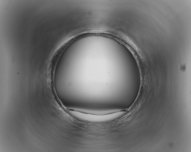 X0000097651456200803211844