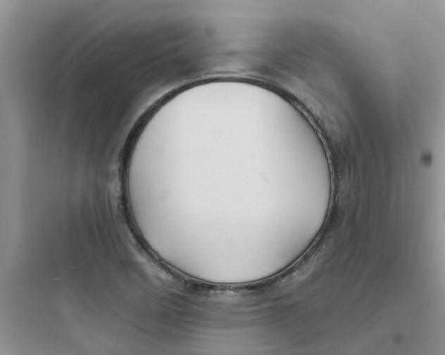 X0000097651458200803211844