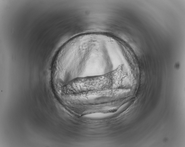 X0000097651459200803211844