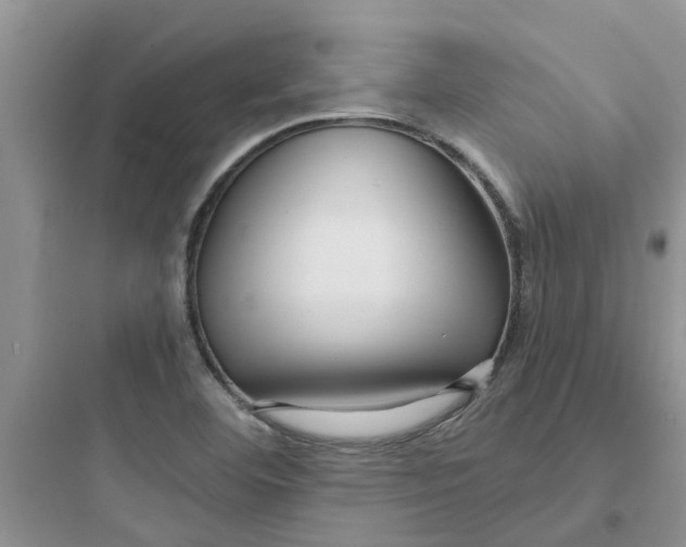 X0000097651460200803211844