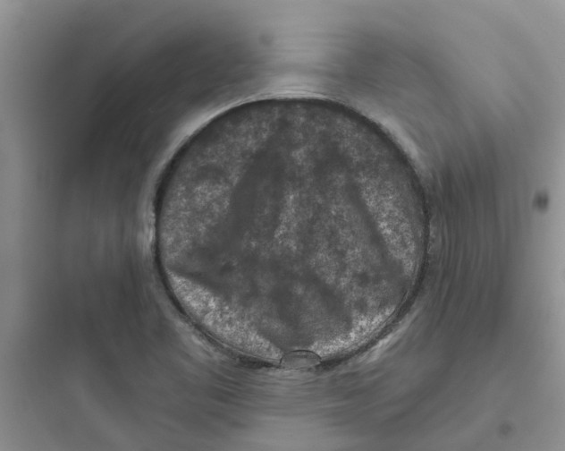 X0000097651461200803211844