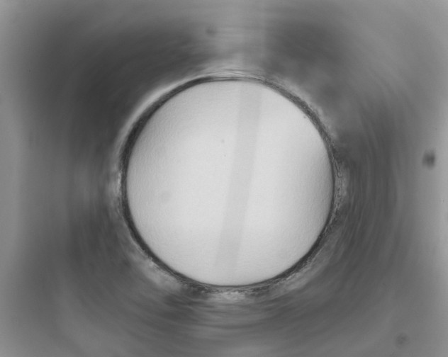 X0000097651462200803211844