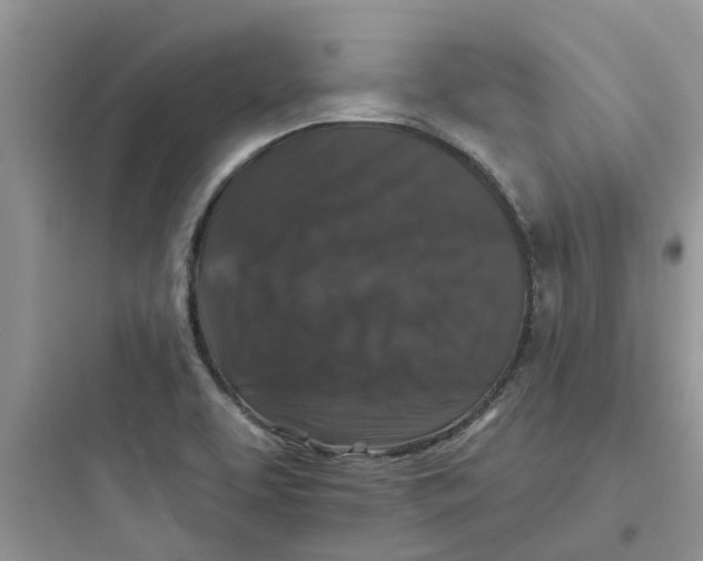 X0000097651463200803211844