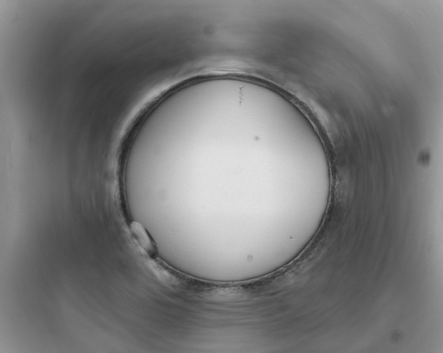 X0000097651464200803211844