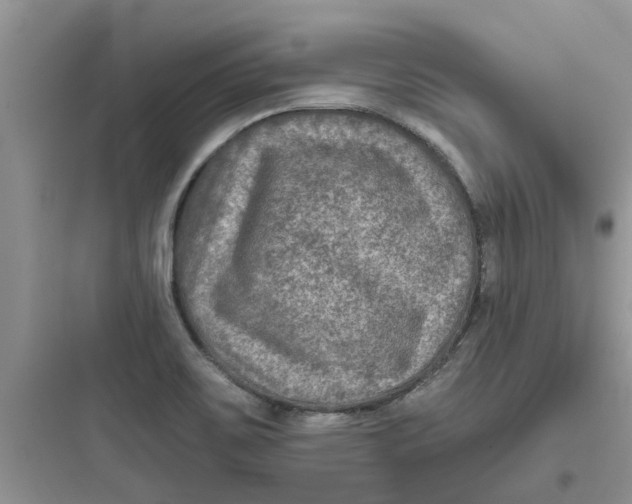 X0000097651467200803211844