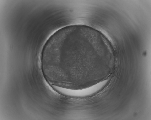 X0000097651468200803211844