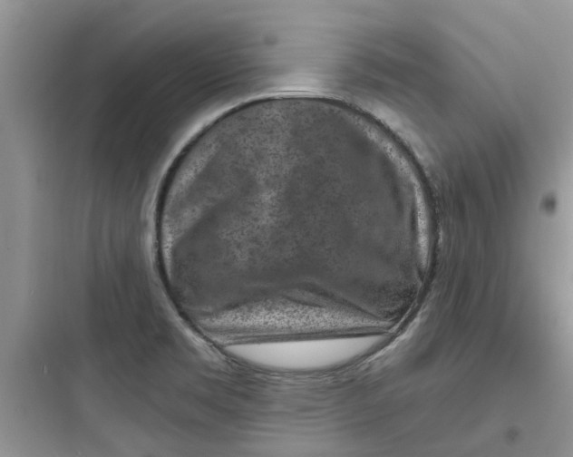 X0000097651469200803211844